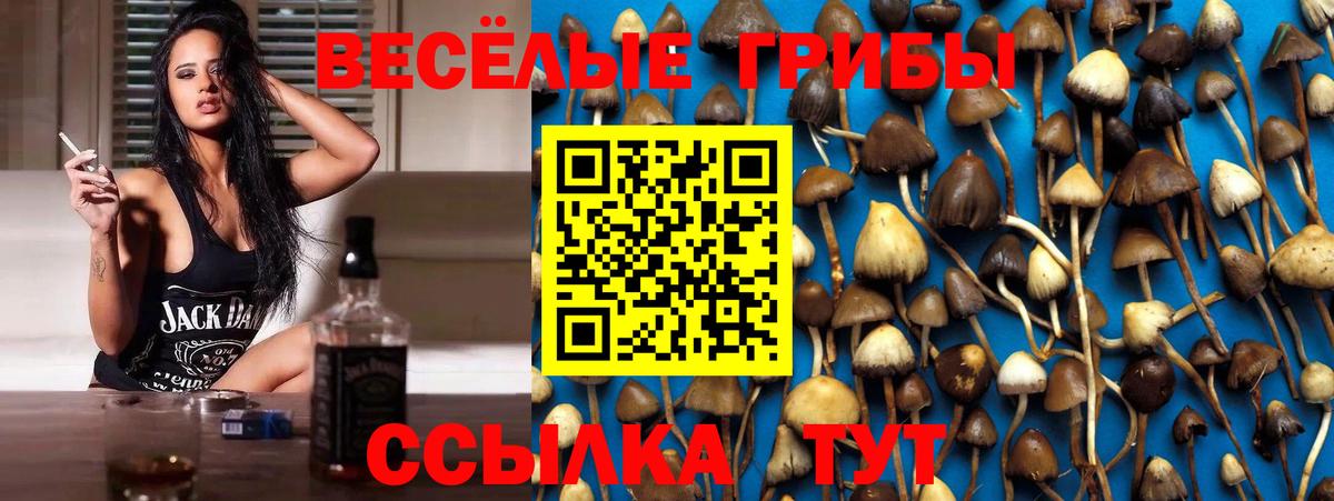 Псилоцибиновые грибы Cubensis Кстово
