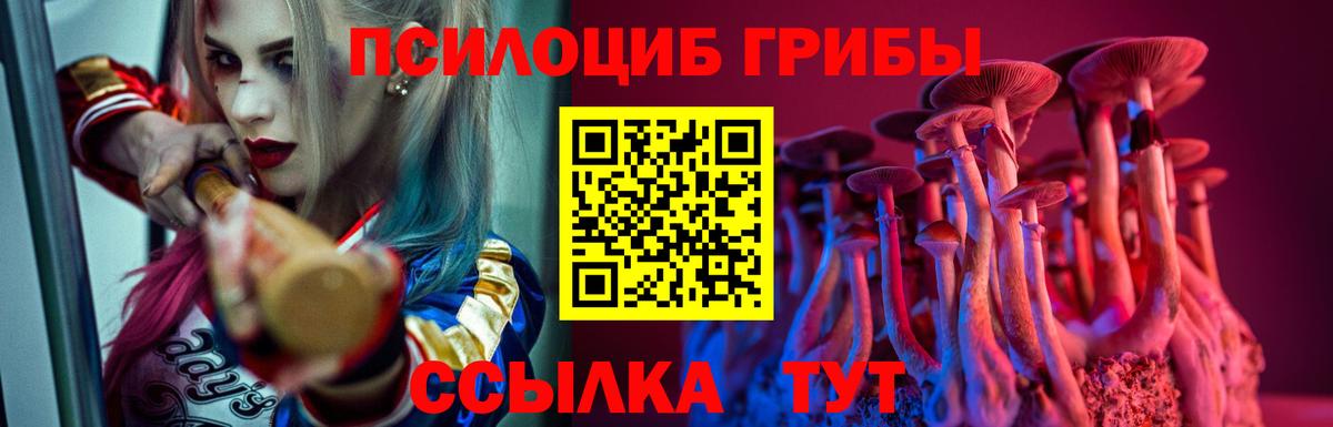 Галлюциногенные грибы мицелий  Вход с VPN  Галлюциногенные грибы ЛСД  Кстово 
